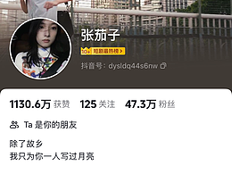 【张茄子】剧情