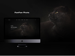 PawPaw宠物摄影企业网页设计