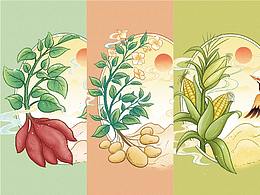 调料品瓶贴设计|红薯淀粉、马铃薯淀粉、玉米淀粉