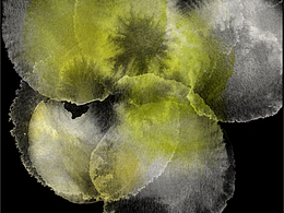 包裝設(shè)計(jì)練習(xí)Day1