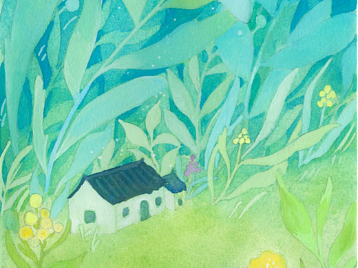 关于蝴蝶的故事