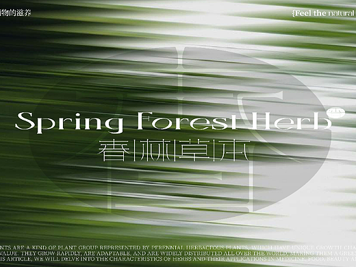 春林草本品牌设计