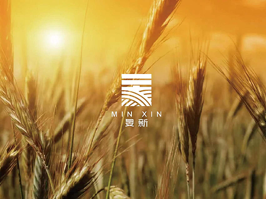旻新品牌logo设计