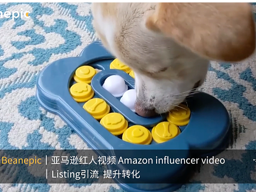 亚马逊关联视频有哪些好处？Beanepic