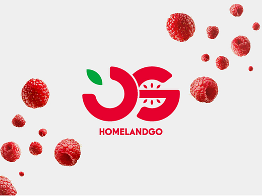 江山果家品牌logo设计