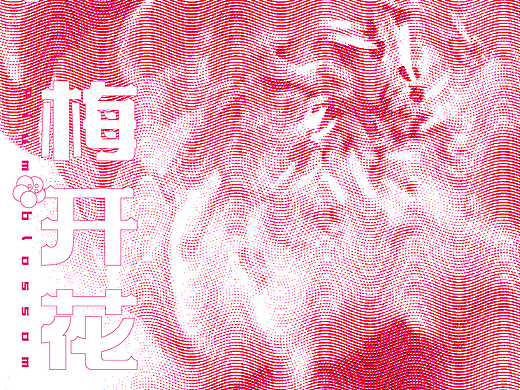 Day 9 梅开花