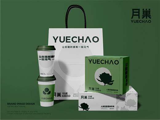 月巢新派滋补养生品牌/ 品牌全案设计