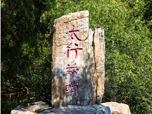 夏季的百望山森林公园
