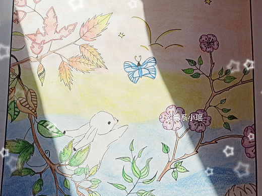 秘密花园，寻找那束属于我们的光