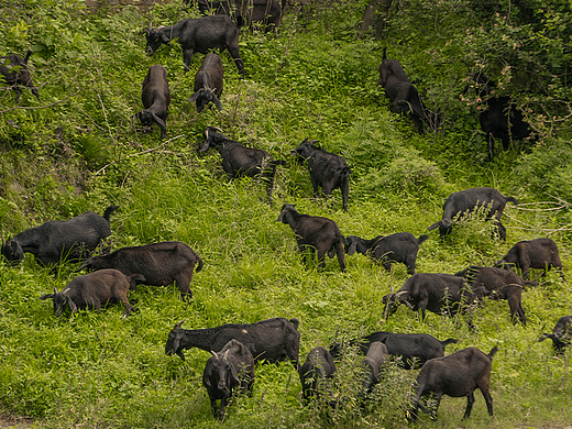 Passage 05.雨里（個(gè)人主頁(yè)-ZNjA3MTM5NjA=） - 其他攝影 - 站酷設(shè)計(jì)師是木木啊65原創(chuàng)素材 - 站酷ZCOOL