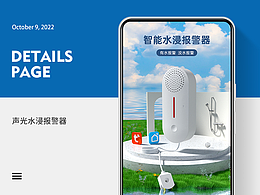 安防产品详情页