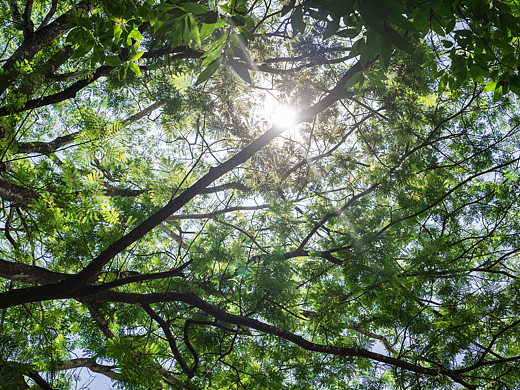 夏日攝影（個(gè)人主頁(yè)-ZNjA1ODk0ODg=） - 風(fēng)光攝影 - 站酷設(shè)計(jì)師蔡先生啊原創(chuàng)素材 - 站酷ZCOOL