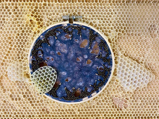跨界媒介的碰撞：蜂巢+刺绣 | Ava Roth 「艺术访谈」