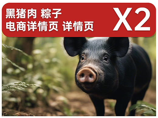 黑猪肉、粽子电商详情页 X2