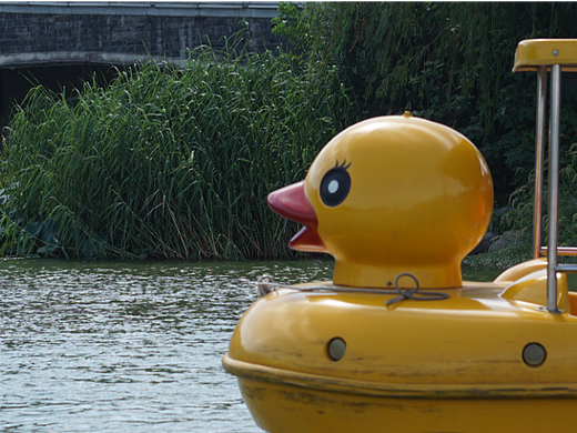 玄武湖的秋（个人主页-ZNjE4OTAxNzY=） - 风光摄影 - 站酷设计师燕燕鹅原创素材 - 站酷ZCOOL