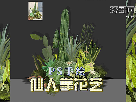 01:34手绘热带风格仙人掌婚礼设计道具素材花艺效果图