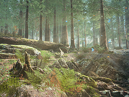 UE5+清晨森林写实风格场景