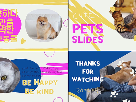 AE模板|多彩場景動態(tài)標(biāo)題展示寵物動畫開場片頭