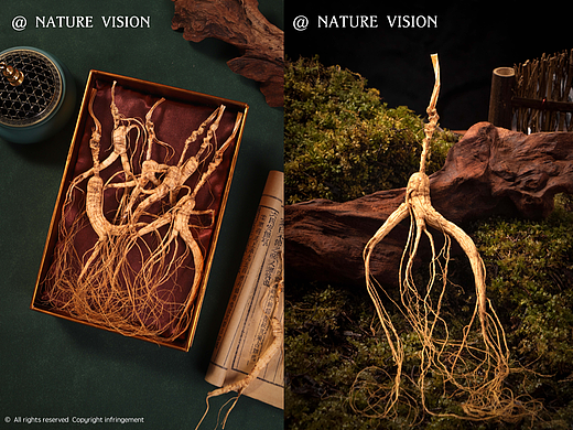 山下参产品拍摄｜精品人参 ✖️NATURE STUDIO