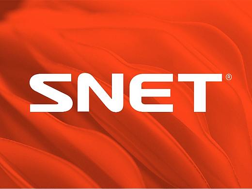 SNET晟捷科技品牌形象全案