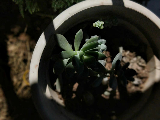 情绪