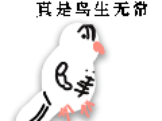 掉毛鸟