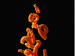 比萨卷 锅巴薯片膨化食品小吃 零食摄影