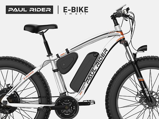E-bike电助力自行车涂装设计丨海报设计丨纸箱设计