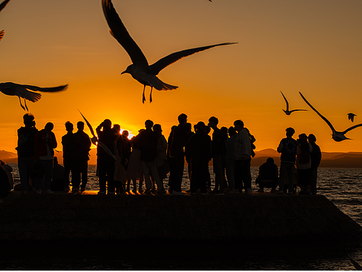 夕阳洒进我心里