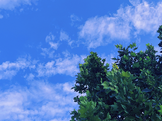 夏日天空（個(gè)人主頁(yè)-ZNjA5NjE1MDQ=） - 風(fēng)光攝影 - 站酷設(shè)計(jì)師半階斜原創(chuàng)素材 - 站酷ZCOOL