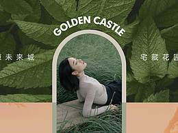 提报稿