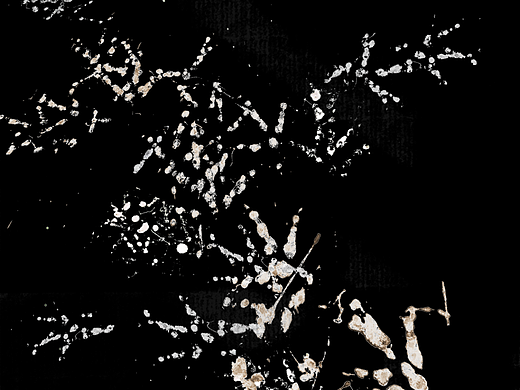 Y.Иot歪腦設計 | 大羽炭火燒鳥