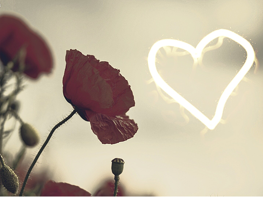 烟花烟火线条特效PS动作