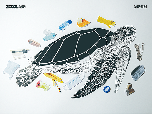 珍稀动物丨我只是一只绿海龟