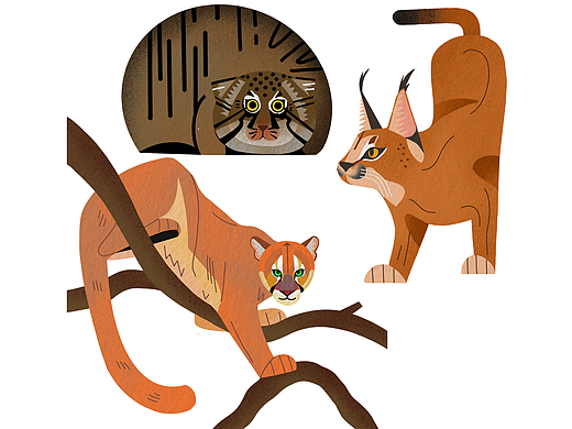 【每日一猫】插画设计