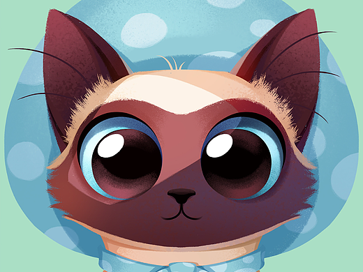 原创卡通可爱喜马拉雅猫萌宠动物头像商业插画包装文创