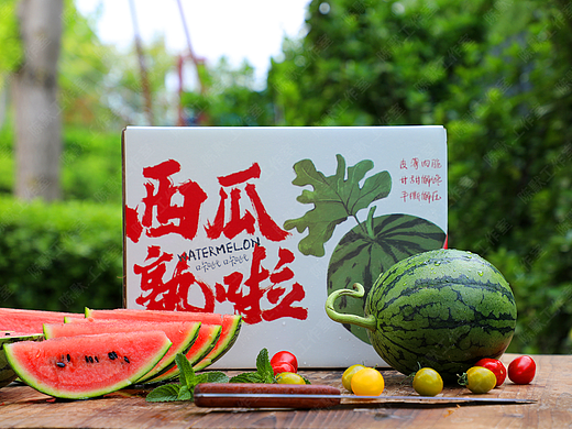 农场的西瓜熟啦——2K手撕小西瓜拍摄