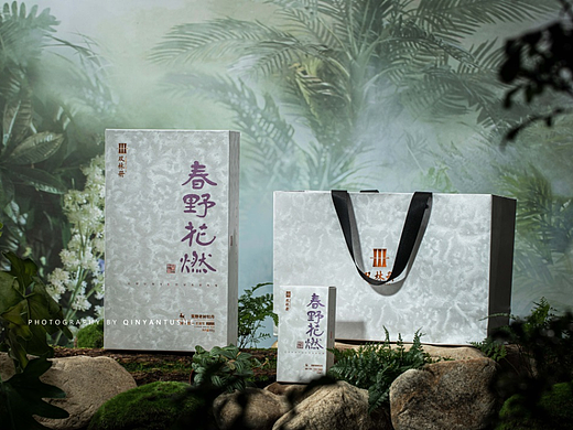 春野花燃——福鼎白茶产品拍摄