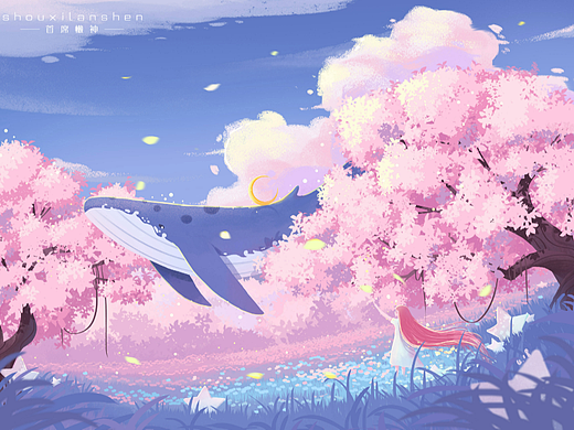 鲸缘|樱之鲸