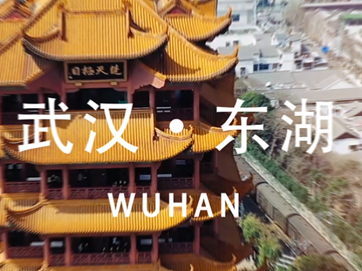 东湖论坛邀约快闪视频