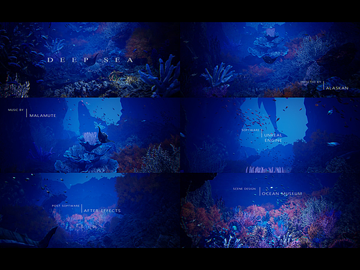 DEEP  SEA