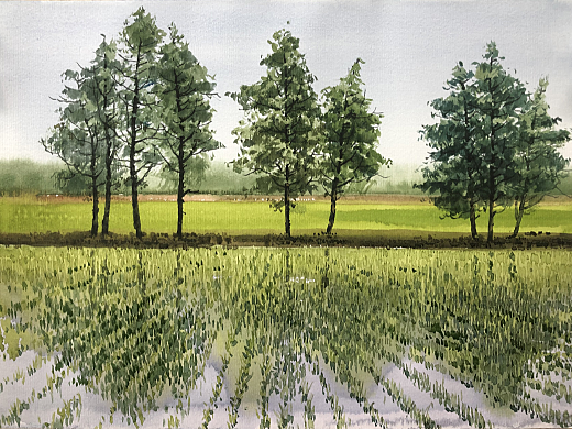 水彩風景——6月,夏的序曲 2022