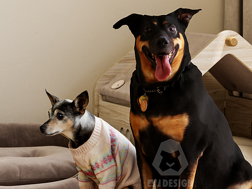 分享三套家装案例