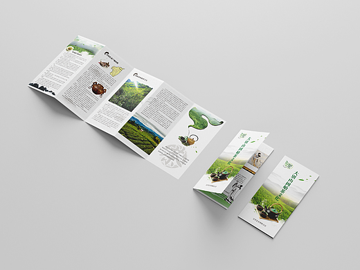 茶文化中国风五折页