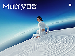 拍摄方案