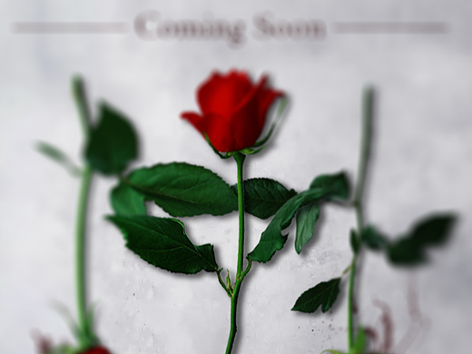 《别对我说谎》电影概念海报