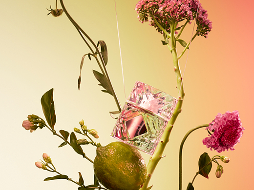 商业摄影｜香水 ✖ 云岛视觉