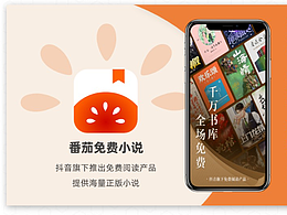 阿里巴巴營銷大賞案例-信息流-番茄小說