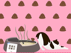 智聯(lián)招聘2020職業(yè)重置計(jì)劃H5（個(gè)人主頁-ZNjY3MjI3NzI=） - 移動(dòng)端網(wǎng)頁 - 站酷設(shè)計(jì)師阿森nico原創(chuàng)素材 - 站酷ZCOOL