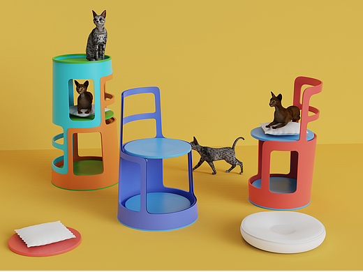 Cat's Chair—猫的椅